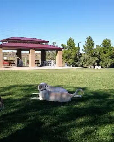 Desert Vista Dog Park - Fountain Hills, AZ