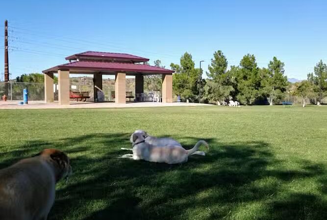 Desert Vista Dog Park - Fountain Hills, AZ