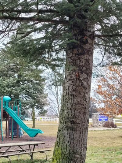 Fowlerville Community Park - Fowlerville,