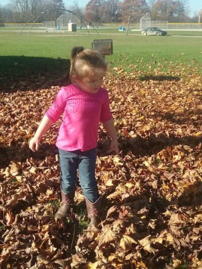 Fowlerville Community Park - Fowlerville,