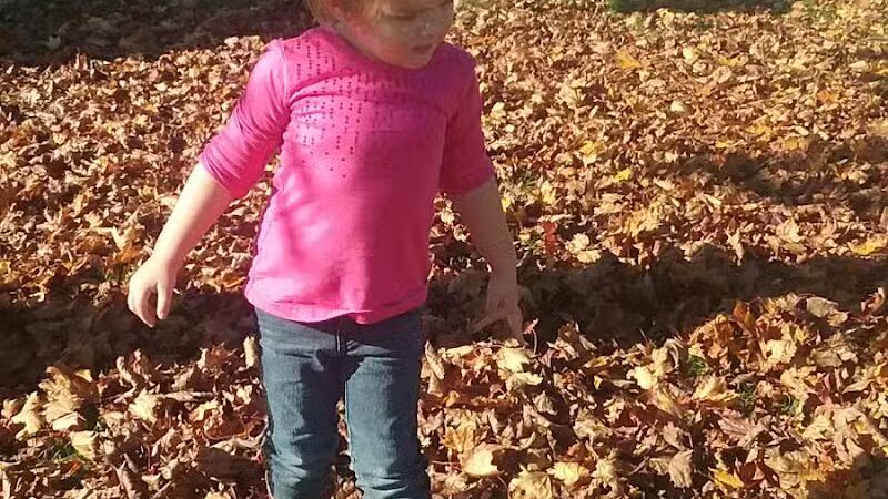 Fowlerville Community Park - Fowlerville,