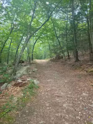 Ashland Town Forest Trailhead - Framingham, MA