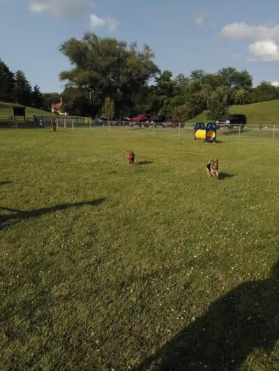 Memorial Park Dog Park (Hund Platz) - Frankenmuth, MI
