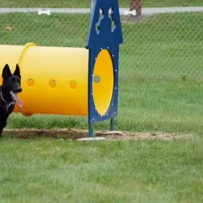 Memorial Park Dog Park (Hund Platz) - Frankenmuth, MI