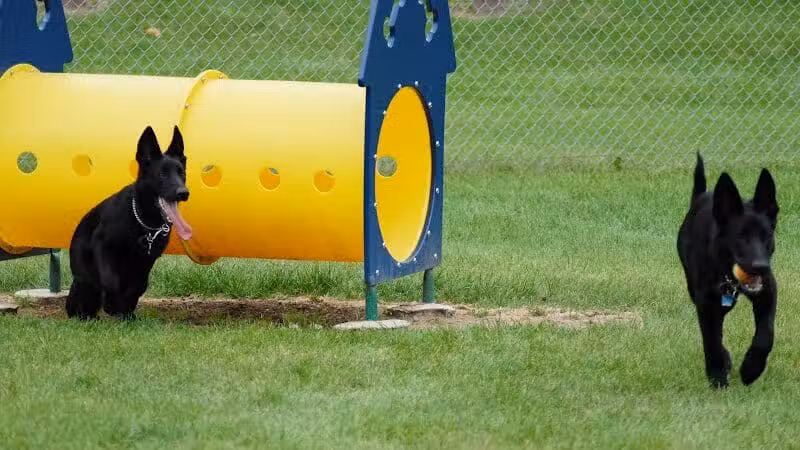 Memorial Park Dog Park (Hund Platz) - Frankenmuth, MI