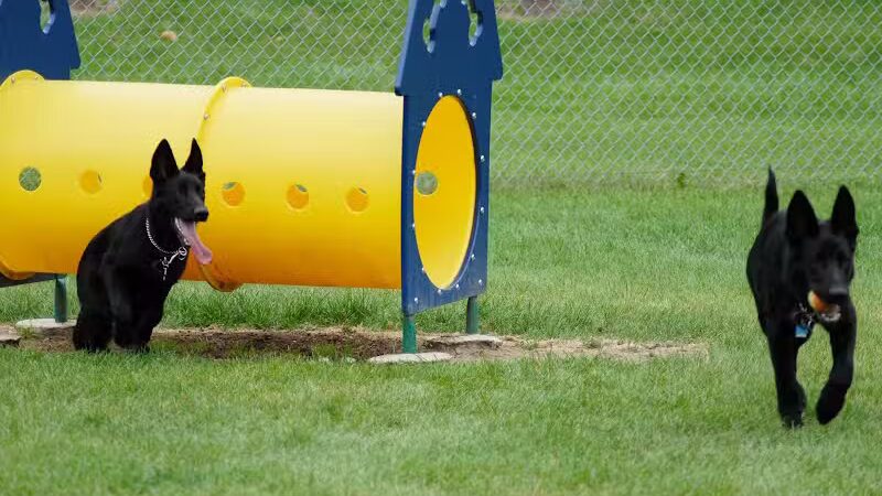 Memorial Park Dog Park (Hund Platz) - Frankenmuth, MI