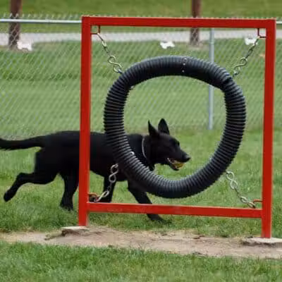Memorial Park Dog Park (Hund Platz) - Frankenmuth, MI