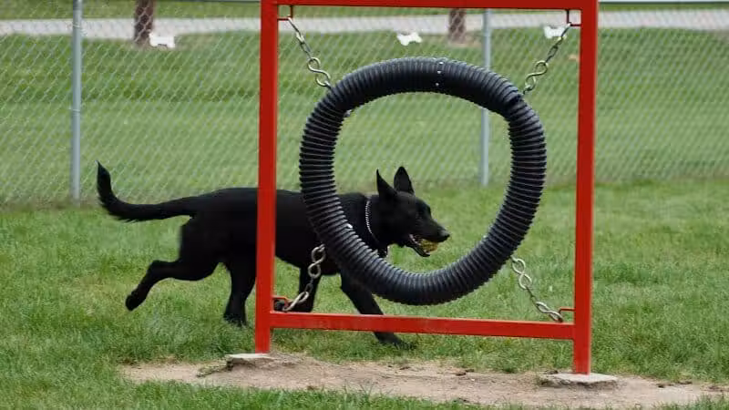 Memorial Park Dog Park (Hund Platz) - Frankenmuth, MI