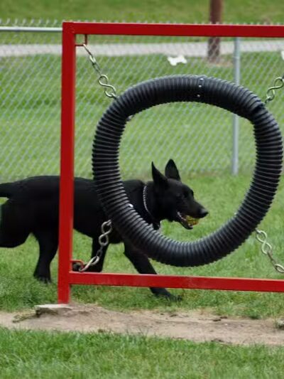Memorial Park Dog Park (Hund Platz) - Frankenmuth, MI