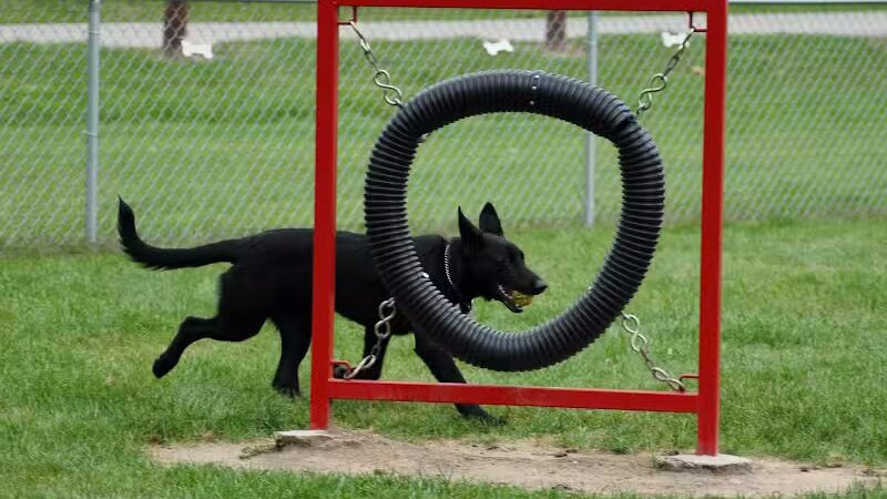 Memorial Park Dog Park (Hund Platz) - Frankenmuth, MI
