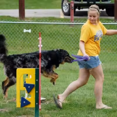 Memorial Park Dog Park (Hund Platz) - Frankenmuth, MI