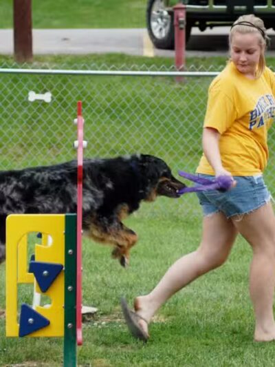 Memorial Park Dog Park (Hund Platz) - Frankenmuth, MI