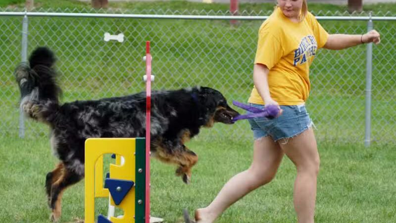 Memorial Park Dog Park (Hund Platz) - Frankenmuth, MI