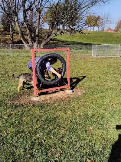 Memorial Park Dog Park (Hund Platz) - Frankenmuth, MI