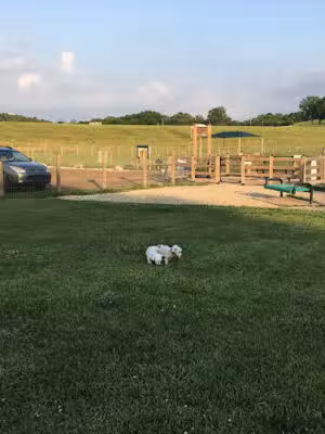 K-9 Korral Dog Park - Franklin, TN