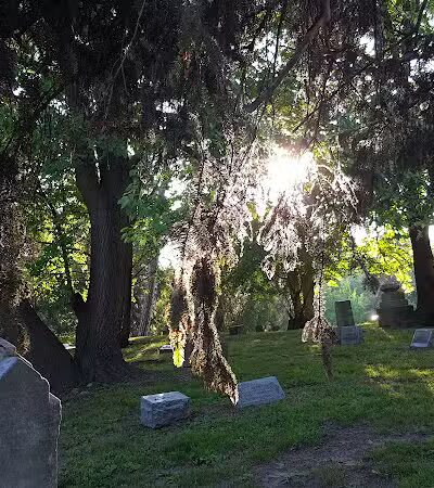 Boris Park - Fraser,