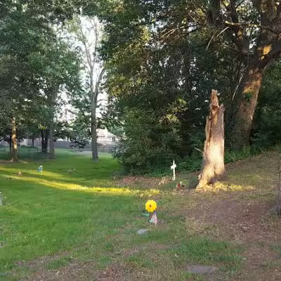 Boris Park - Fraser,