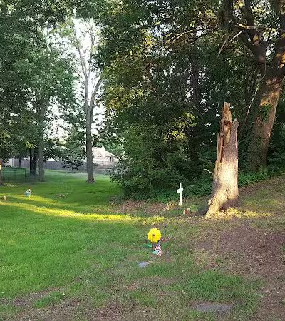 Boris Park - Fraser,