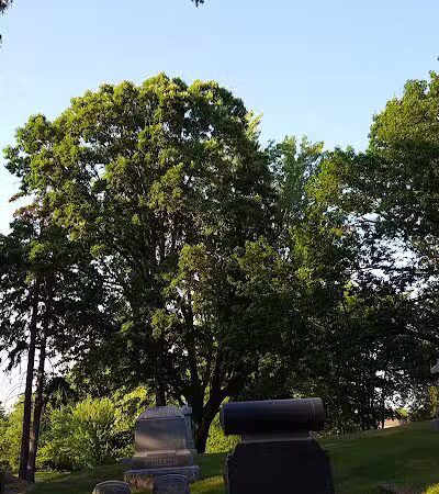 Boris Park - Fraser,