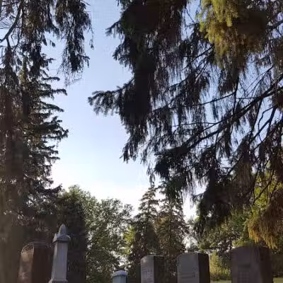 Boris Park - Fraser,