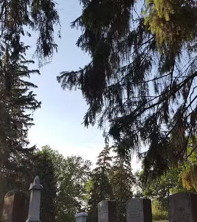 Boris Park - Fraser,