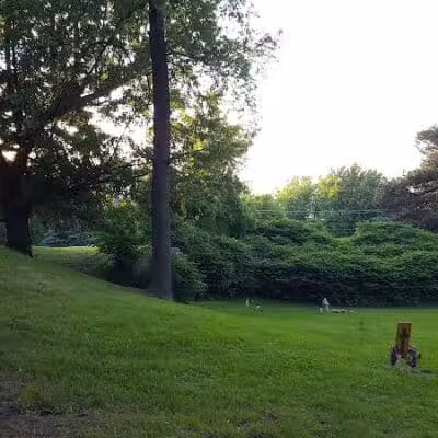Boris Park - Fraser,