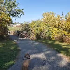 Harrington Trails Park - Fraser,
