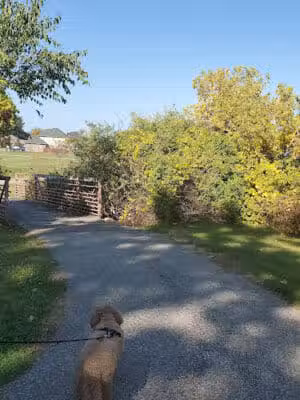 Harrington Trails Park - Fraser,