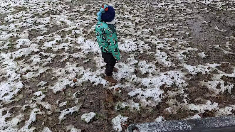 Somerset Park - Fraser,