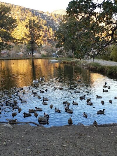 Frazier Mountain Park - Frazier Park, CA