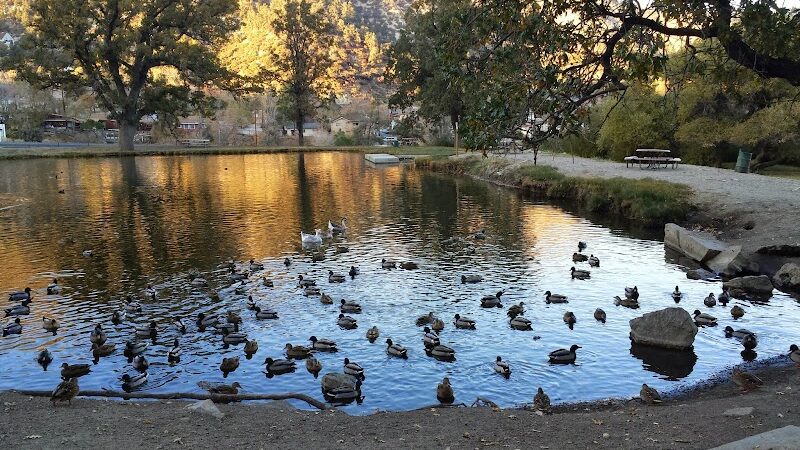 Frazier Mountain Park - Frazier Park, CA