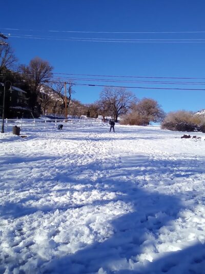 Frazier Mountain Park - Frazier Park, CA