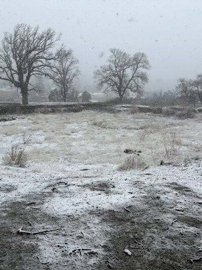 Frazier Mountain Park - Frazier Park, CA