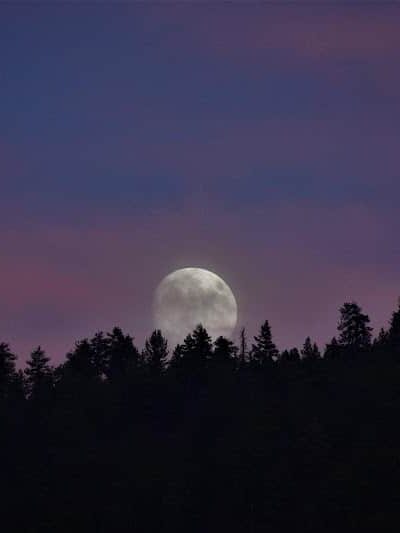 Frazier View Motel - Frazier Park, CA