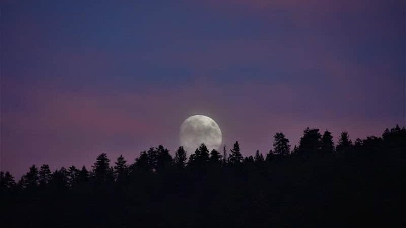 Frazier View Motel - Frazier Park, CA