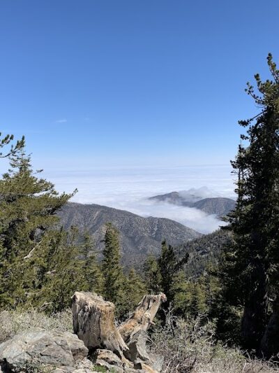 Mt. Pinos Hiking Trail - Frazier Park, CA