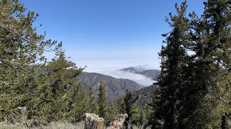 Mt. Pinos Hiking Trail - Frazier Park, CA