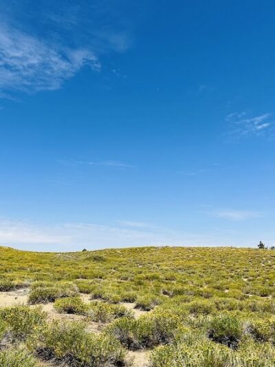 Mt. Pinos Hiking Trail - Frazier Park, CA