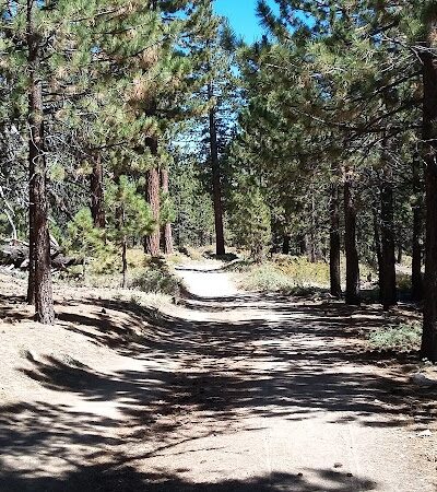 Mt. Pinos Hiking Trail - Frazier Park, CA