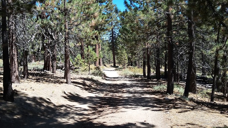 Mt. Pinos Hiking Trail - Frazier Park, CA
