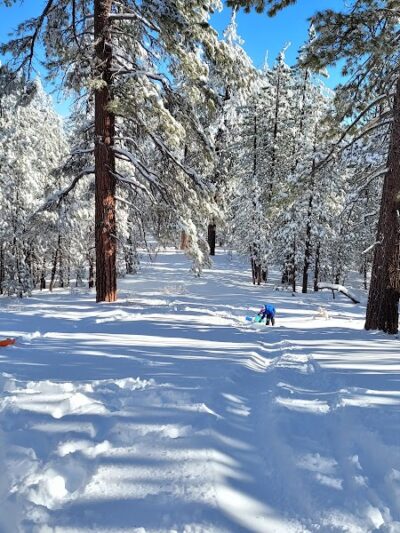 Mt. Pinos Hiking Trail - Frazier Park, CA