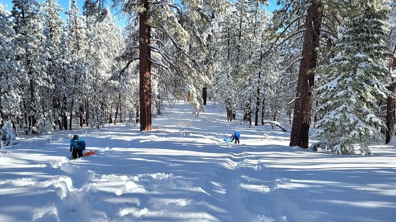 Mt. Pinos Hiking Trail - Frazier Park, CA