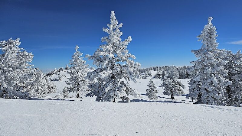 Mt. Pinos Hiking Trail - Frazier Park, CA