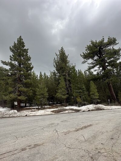 Mt. Pinos Hiking Trail - Frazier Park, CA
