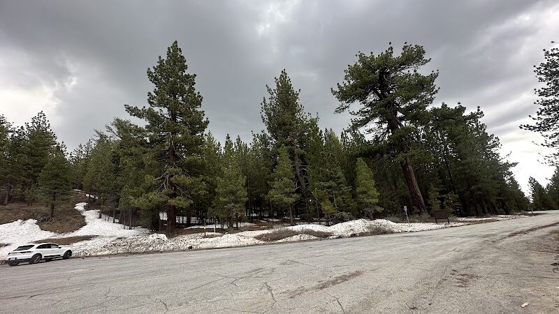 Mt. Pinos Hiking Trail - Frazier Park, CA