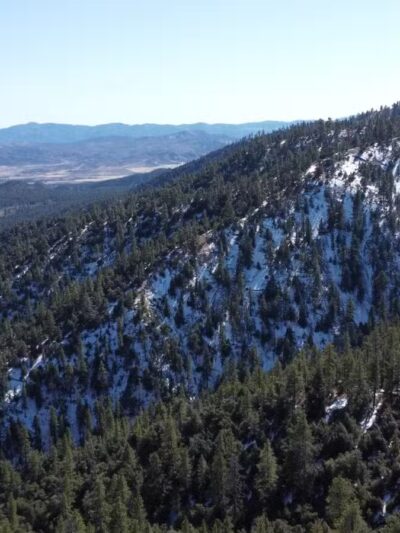 Frazier Mountain Park - Frazier Park, CA