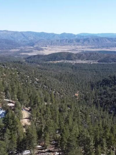 Frazier Mountain Park - Frazier Park, CA