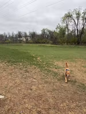 Uptown Dog Park - Frederick, MD