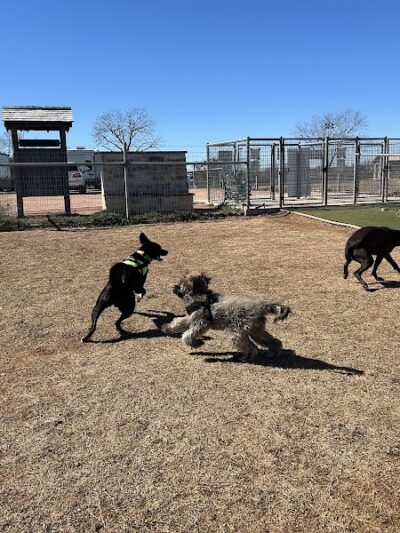 Fredericksburg Dog Park - Fredericksburg, TX
