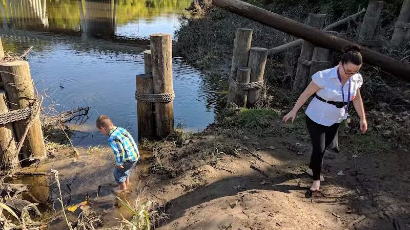 Festival Park - Freeland, MI